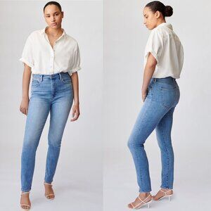 Aritzia | Denim Forum The Lola High Rise Skinny in Picture This Bleu - Size 26